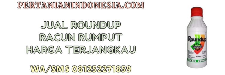 jual,murah,jual roundup,jual roundup racun rumput,jual roundup racun rumput murah